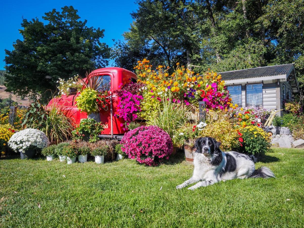 Rayleigh Riverfront Retreat- Peaceful Garden Oasis-25 Minutes To Ski Hill Kamloops Exteriör bild